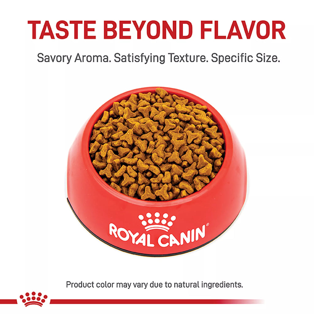 Royal Canin Bengal Adult Cat Food 7LB