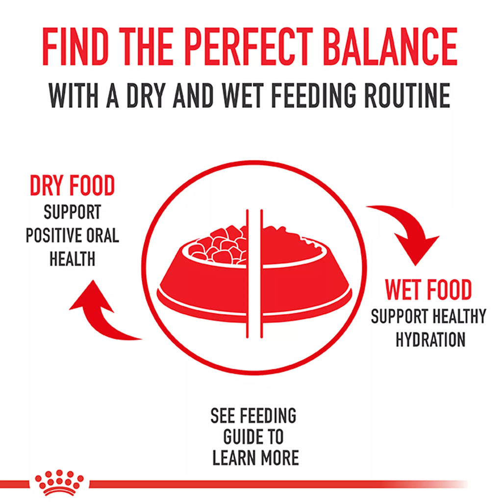 Royal Canin Bengal Adult Cat Food 7LB