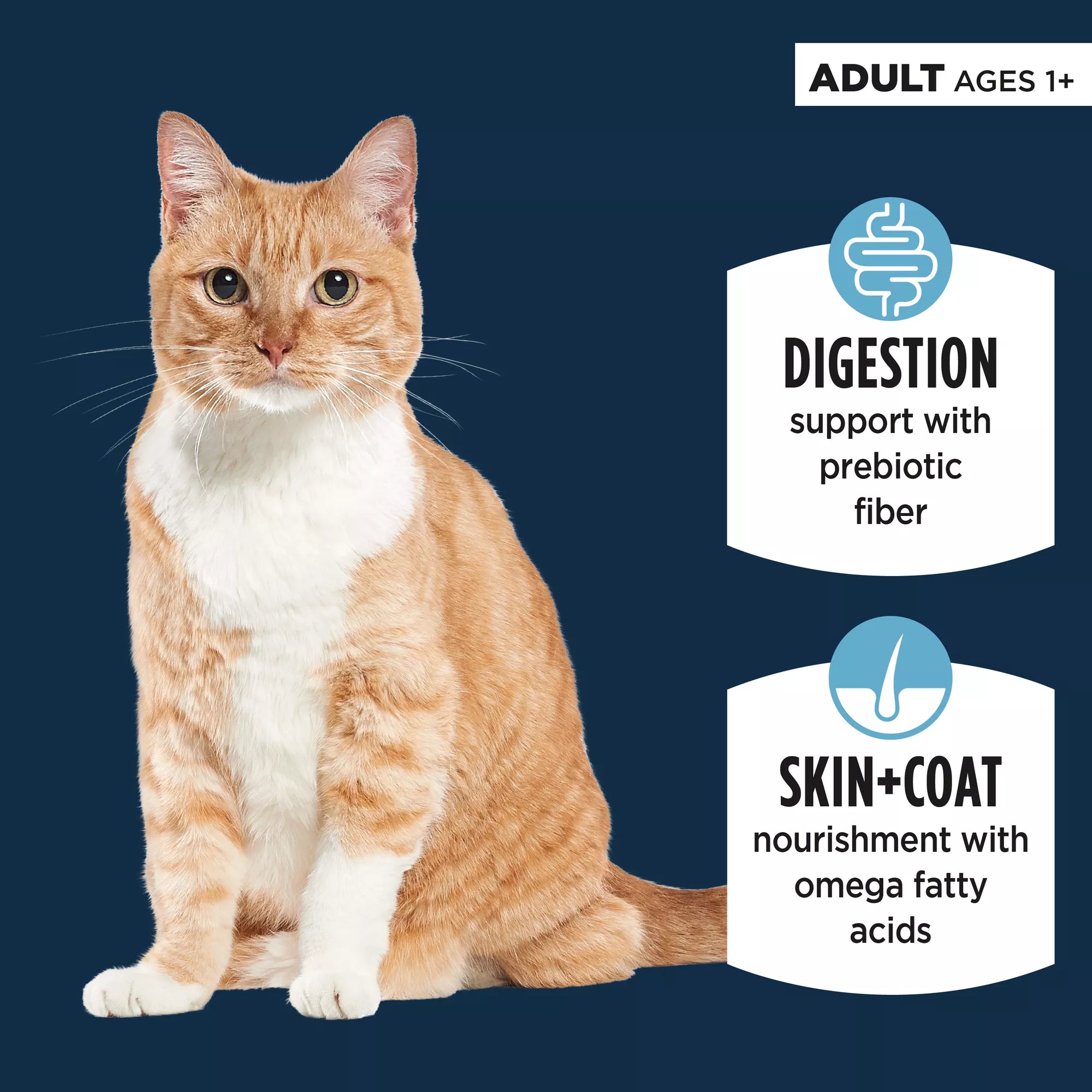 Authority Sensitive Stomach + Skin Adult Cat Wet Food - Pate, 3 oz