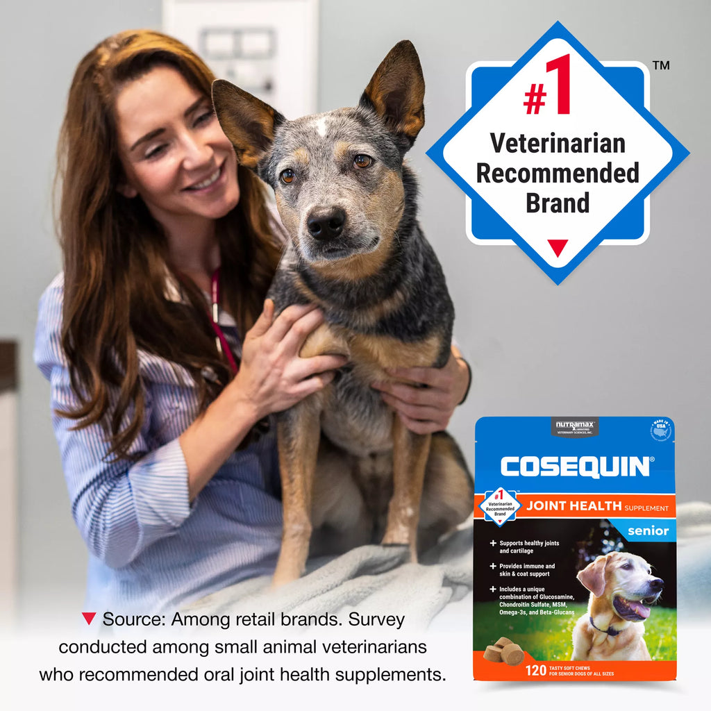 Cosequin Senior Soft Chews