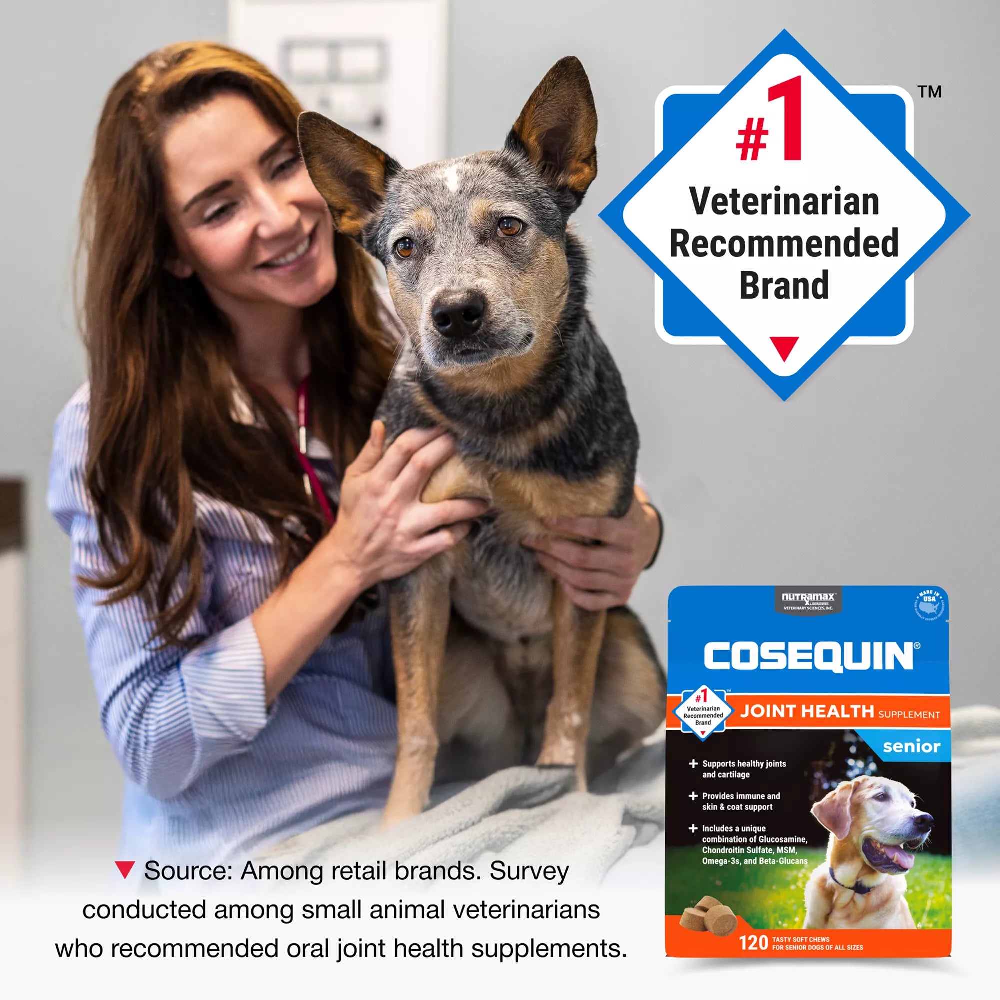 Cosequin Senior Soft Chews