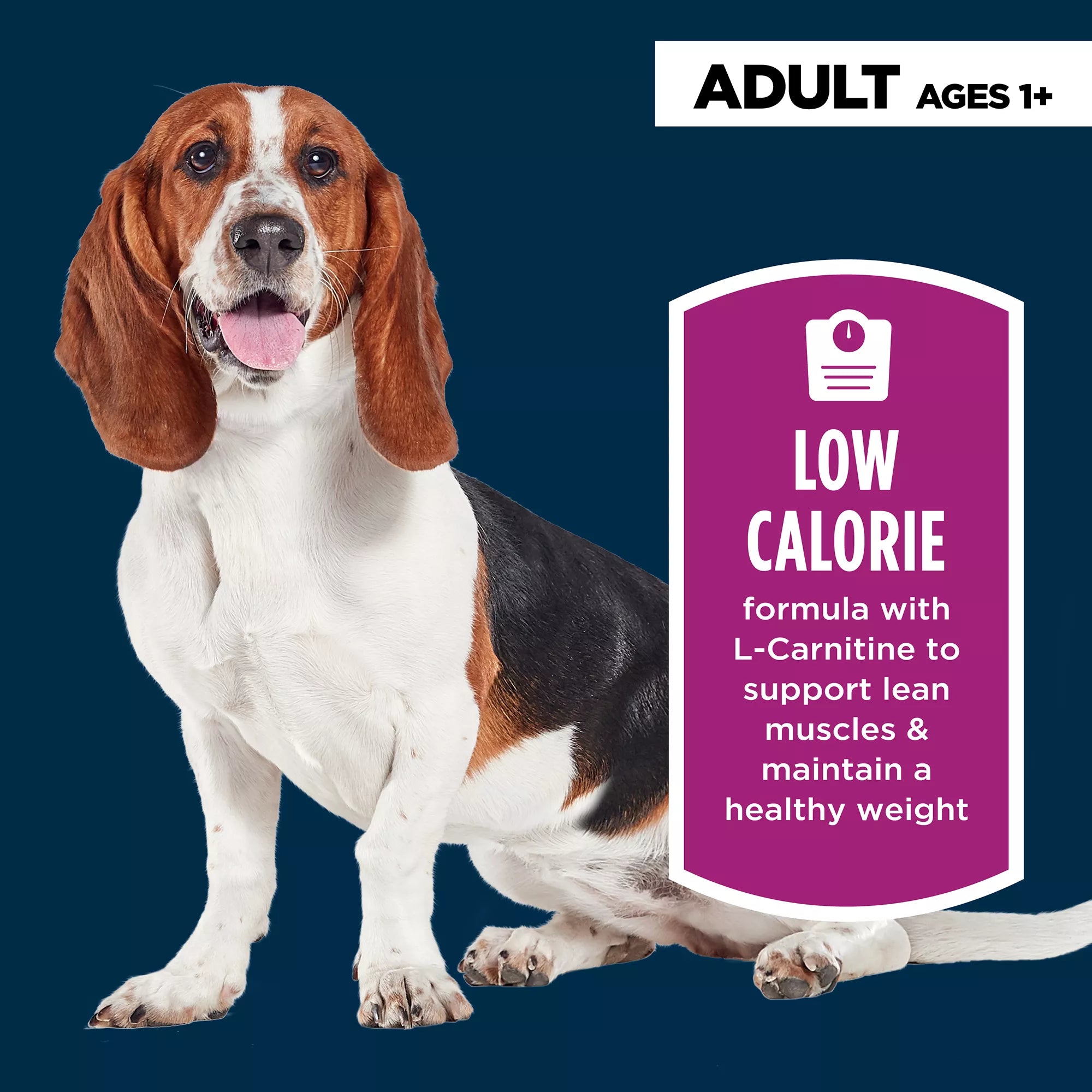 Authority Healthy Weight Chicken Entree Adult Dog Wet Food - 13 oz