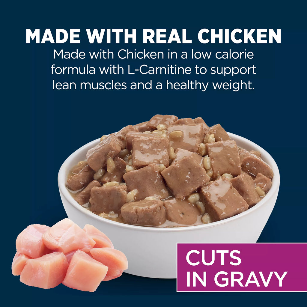 Authority Healthy Weight Chicken Entree Adult Dog Wet Food - 13 oz