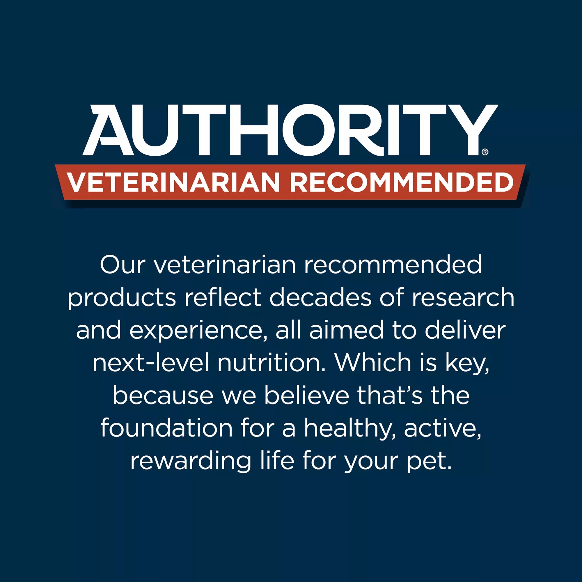 Authority Sensitive Skin & Stomach Food Turkey Entree Adult Wet Dog Food - 13 oz
