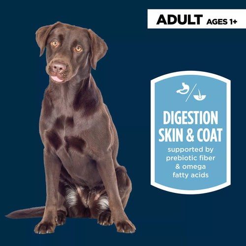 Authority Sensitive Skin & Stomach Food Chicken Entree Adult Dog Wet Food - 13 oz