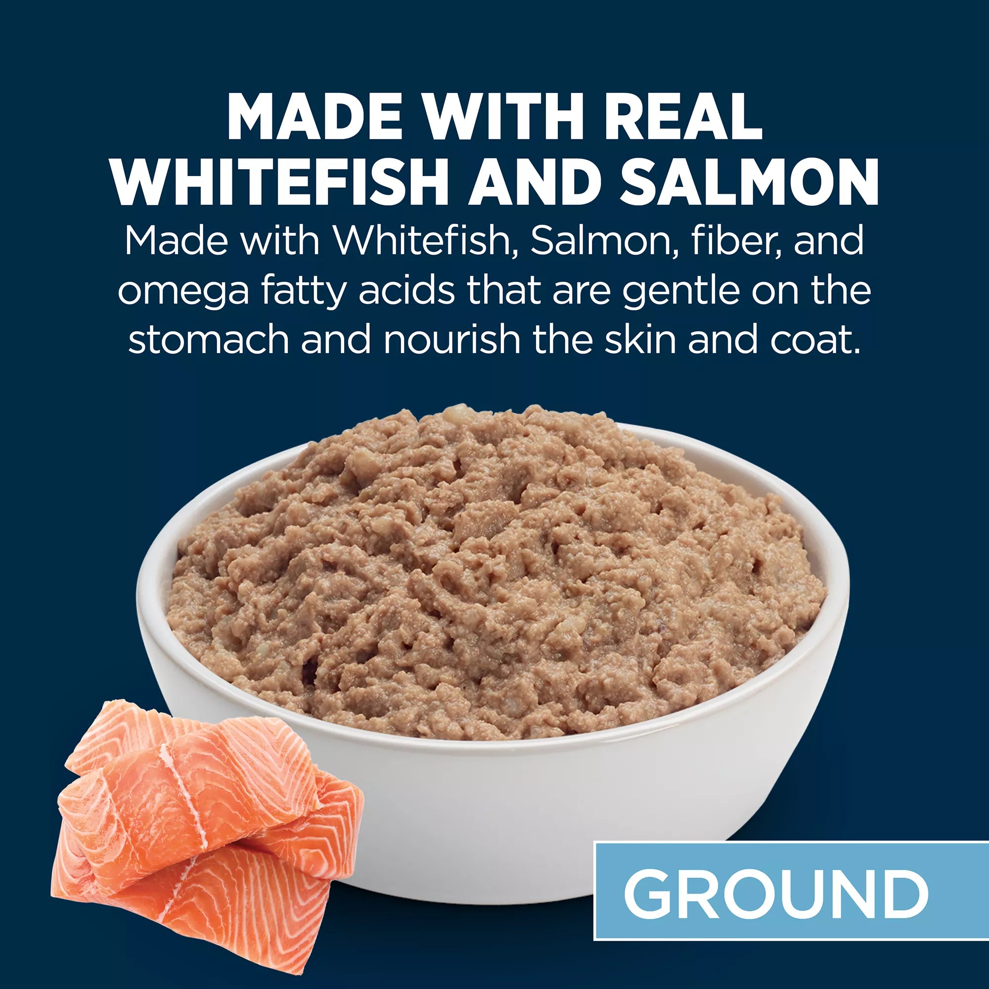 Authority Sensitive Skin & Stomach Food Whitefish & Salmon Entree Adult Wet Dog Food - 13 oz