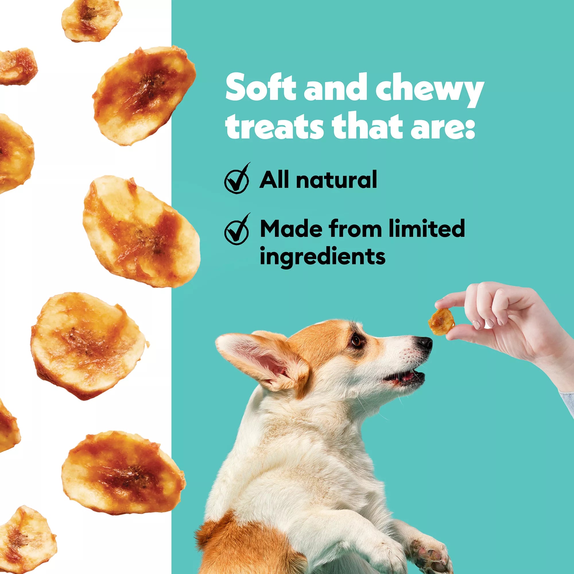 Wiggles & Wags Dipped Slices Banana with Chicken & Peanut Butter