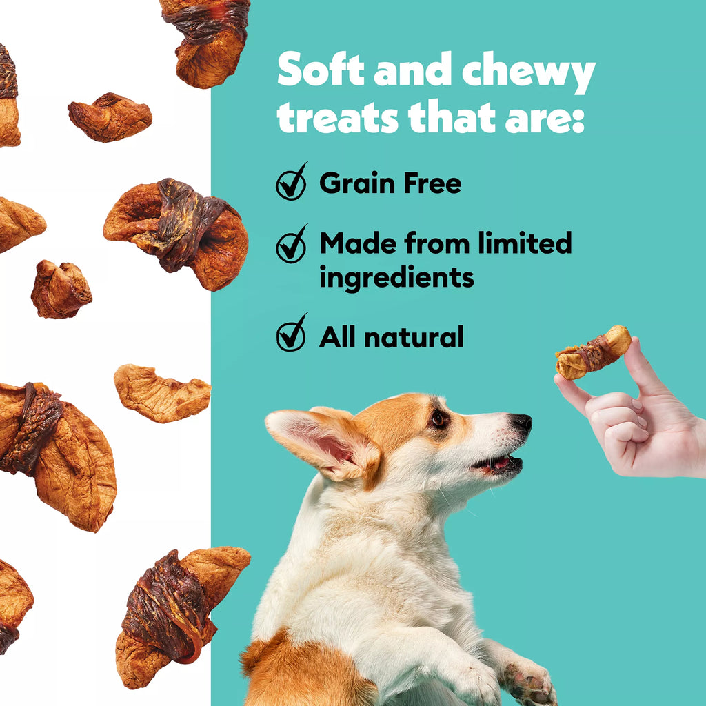 Wiggles & Wags Chicken & Apple Twists Dog Treats 16 OZ