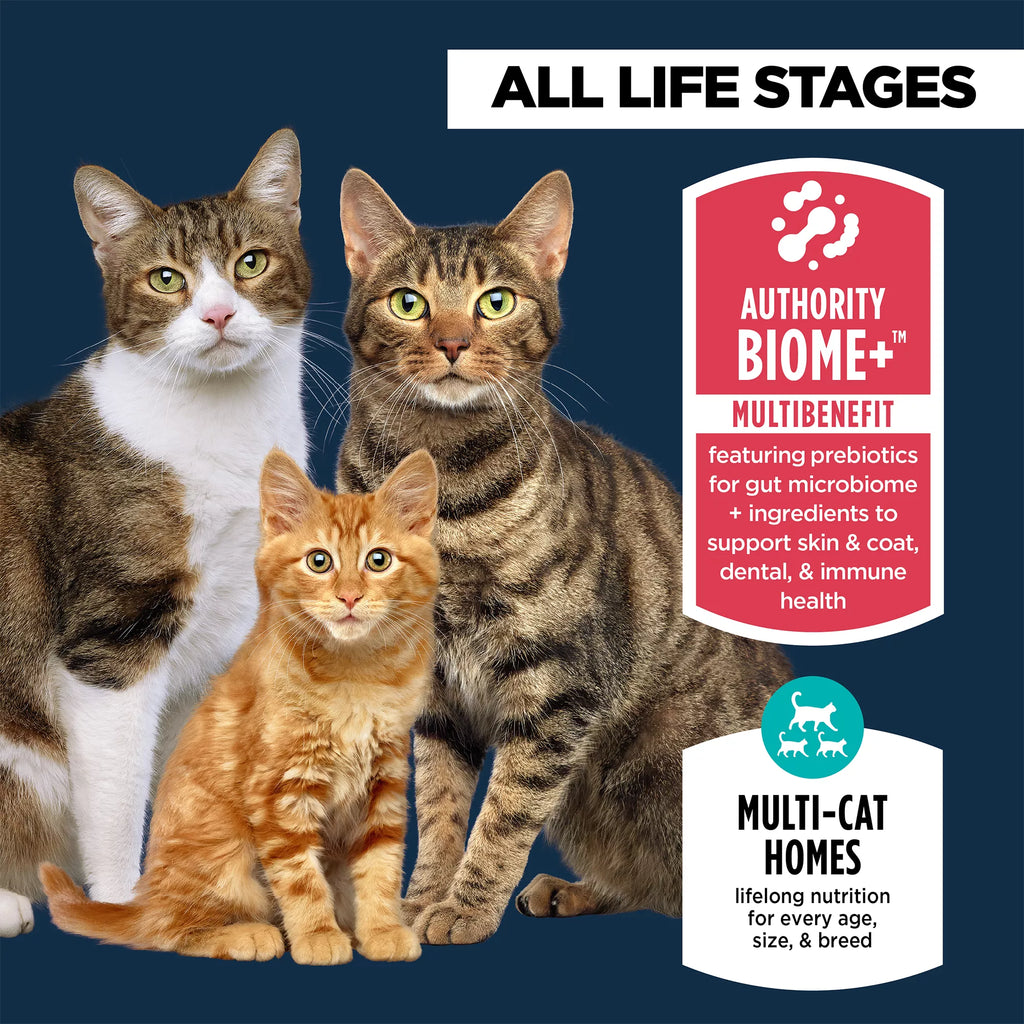 Authority Everyday Health All Life Stages Dry Cat Food - Chicken, Rice & Turkey, With-Grain