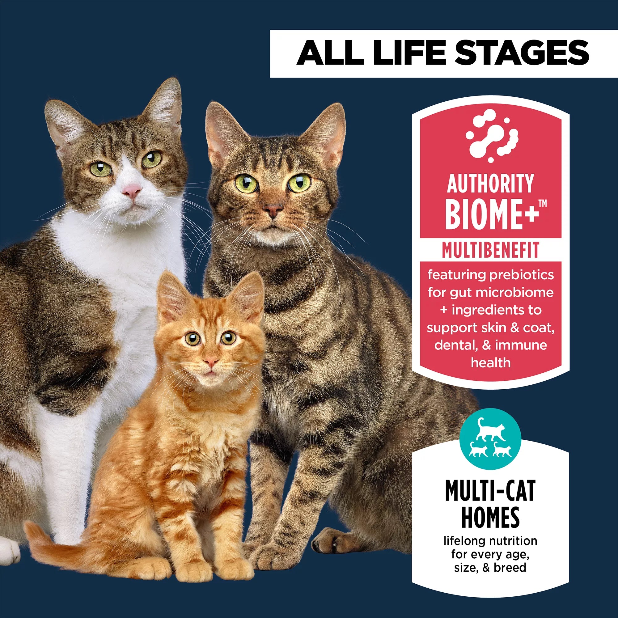 Authority Everyday Health All Life Stages Dry Cat Food - Chicken, Rice & Turkey, With-Grain