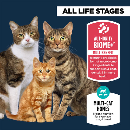 Authority Everyday Health All Life Stages Dry Cat Food - Chicken, Rice & Turkey, With-Grain