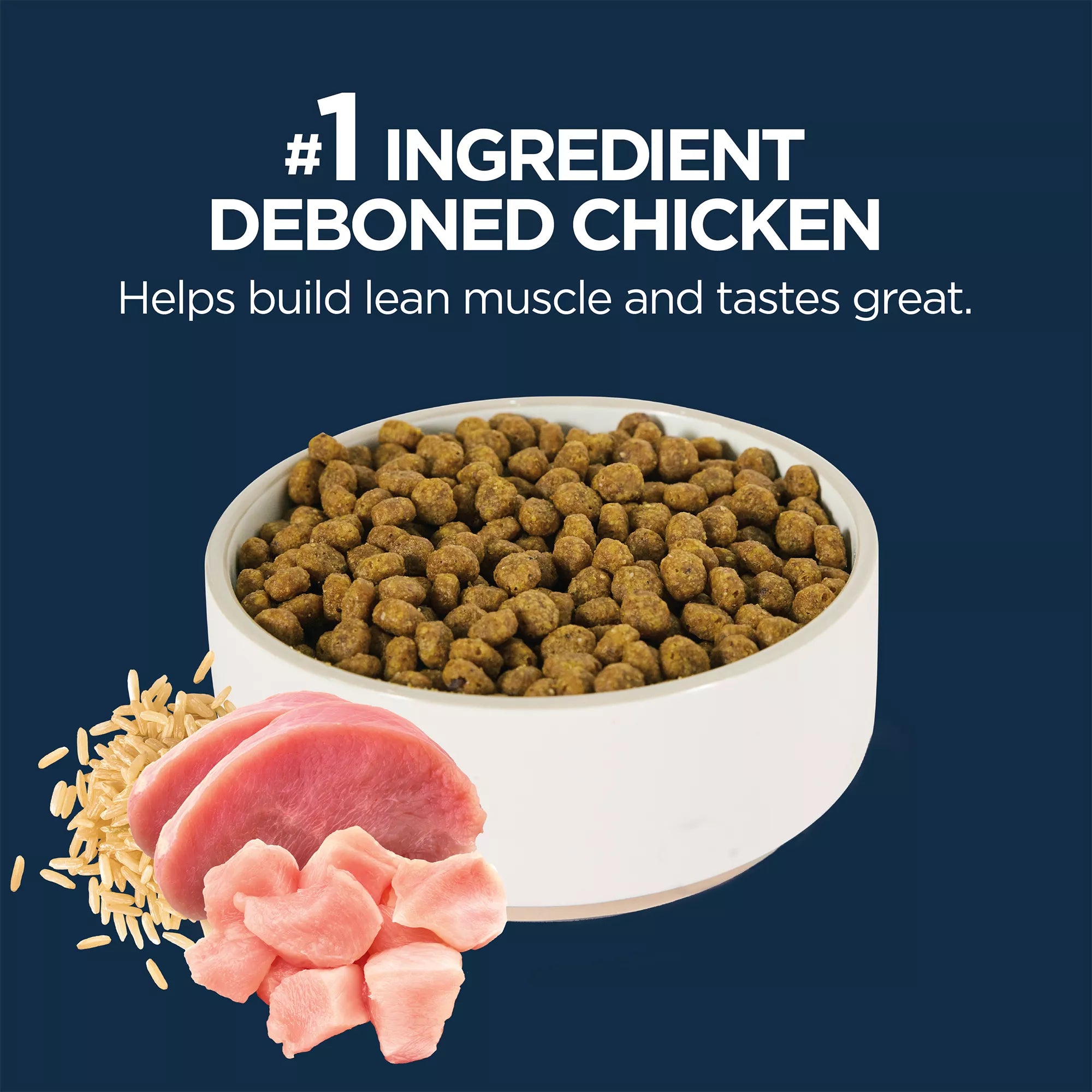 Authority Everyday Health All Life Stages Dry Cat Food - Chicken, Rice & Turkey, With-Grain