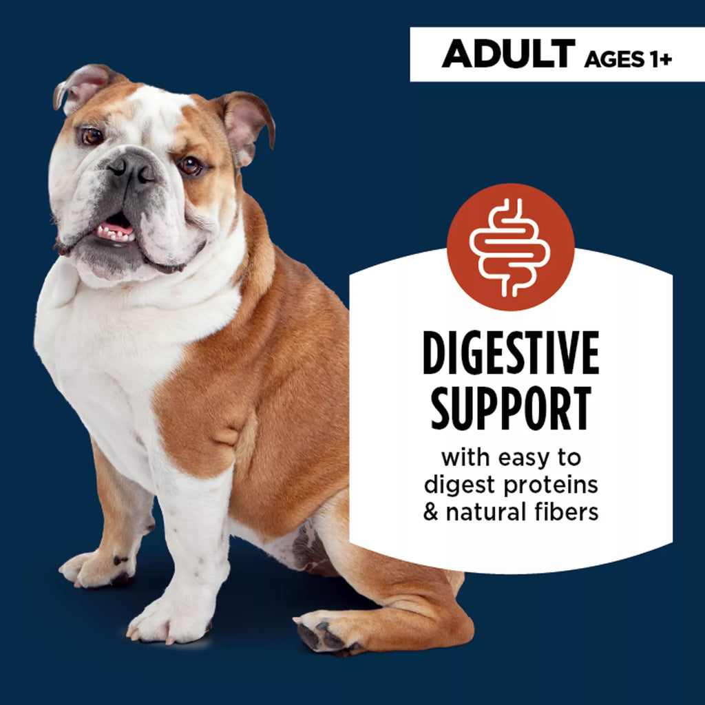 Authority Digestive Support Adult Wet Dog Food - Chicken with Pumpkin, 10 oz