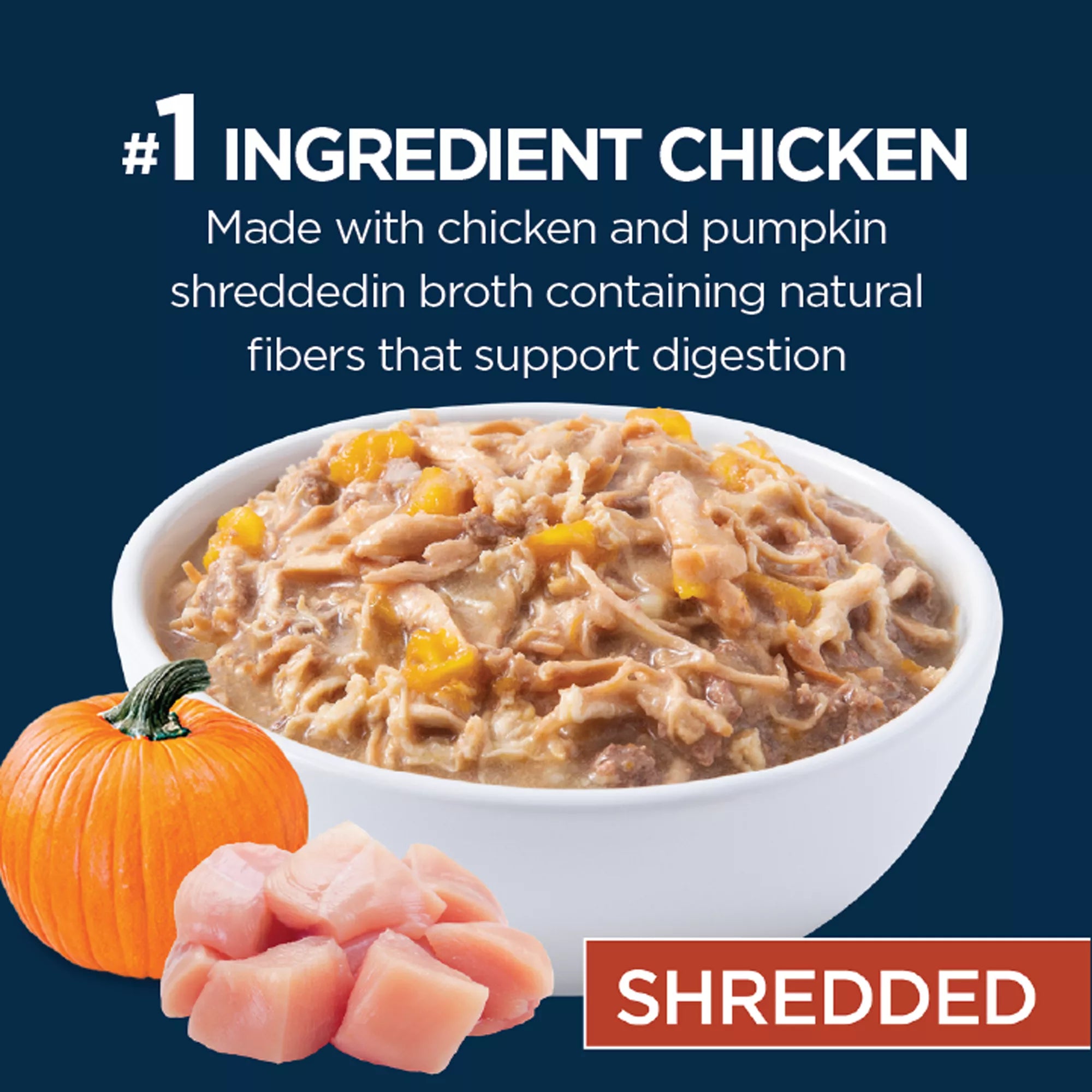 Authority Digestive Support Adult Wet Dog Food - Chicken with Pumpkin, 10 oz