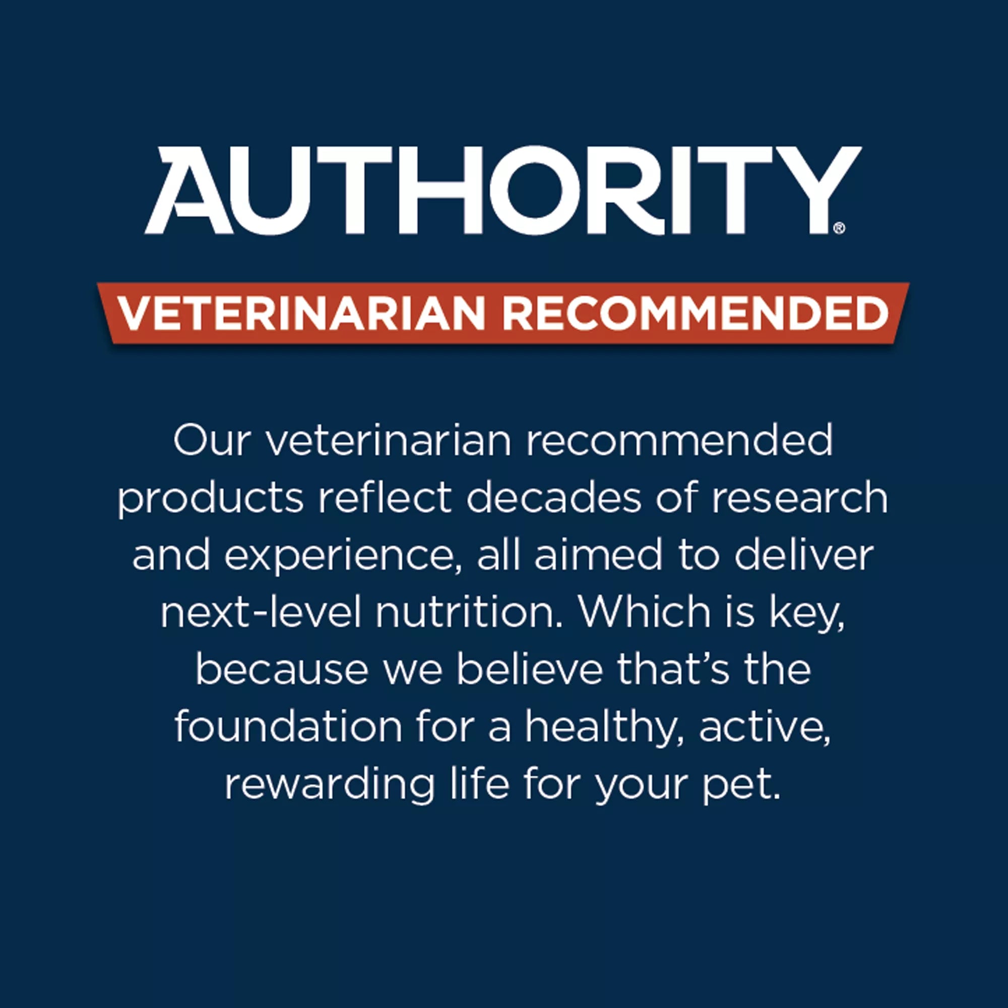 Authority Digestive Support Adult Wet Dog Food - Chicken with Pumpkin, 10 oz