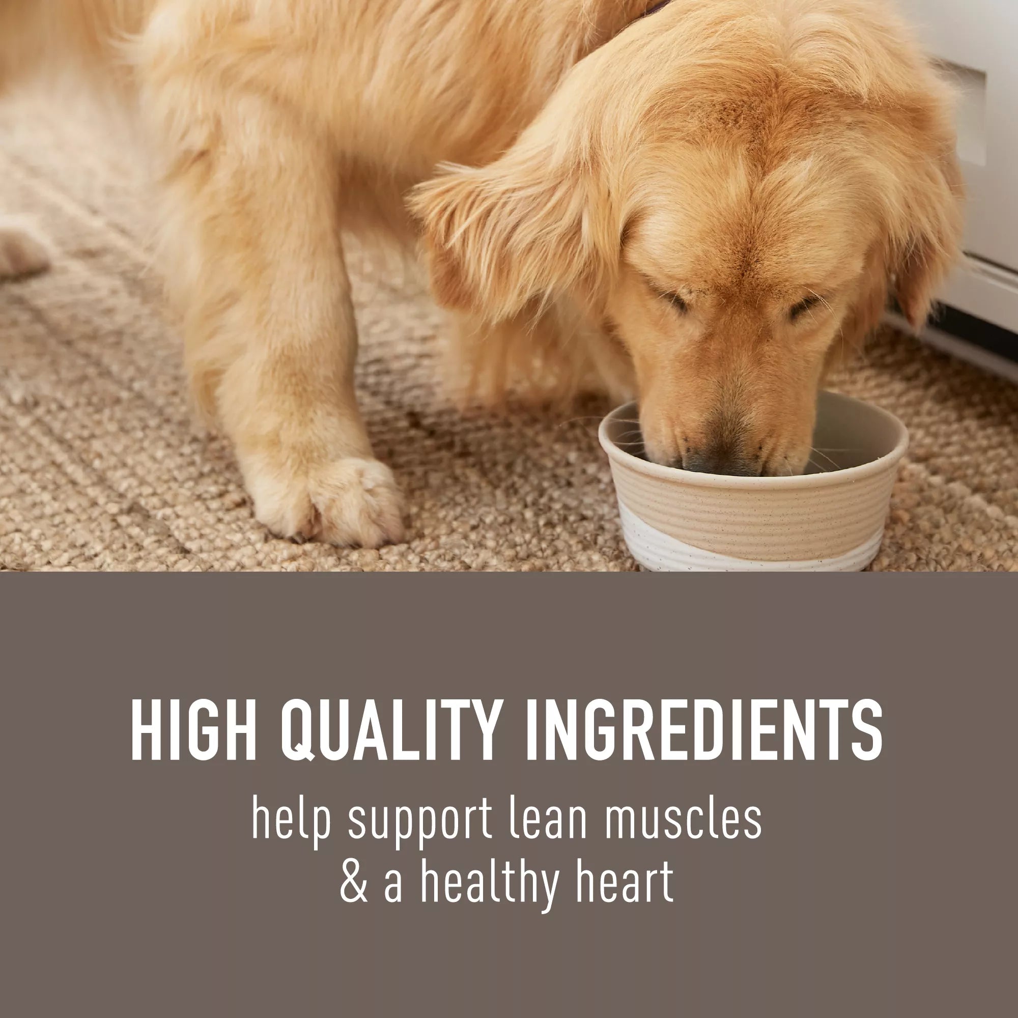 Simply Nourish Adult Dog Meal Topper - Shreds, 9 OZ