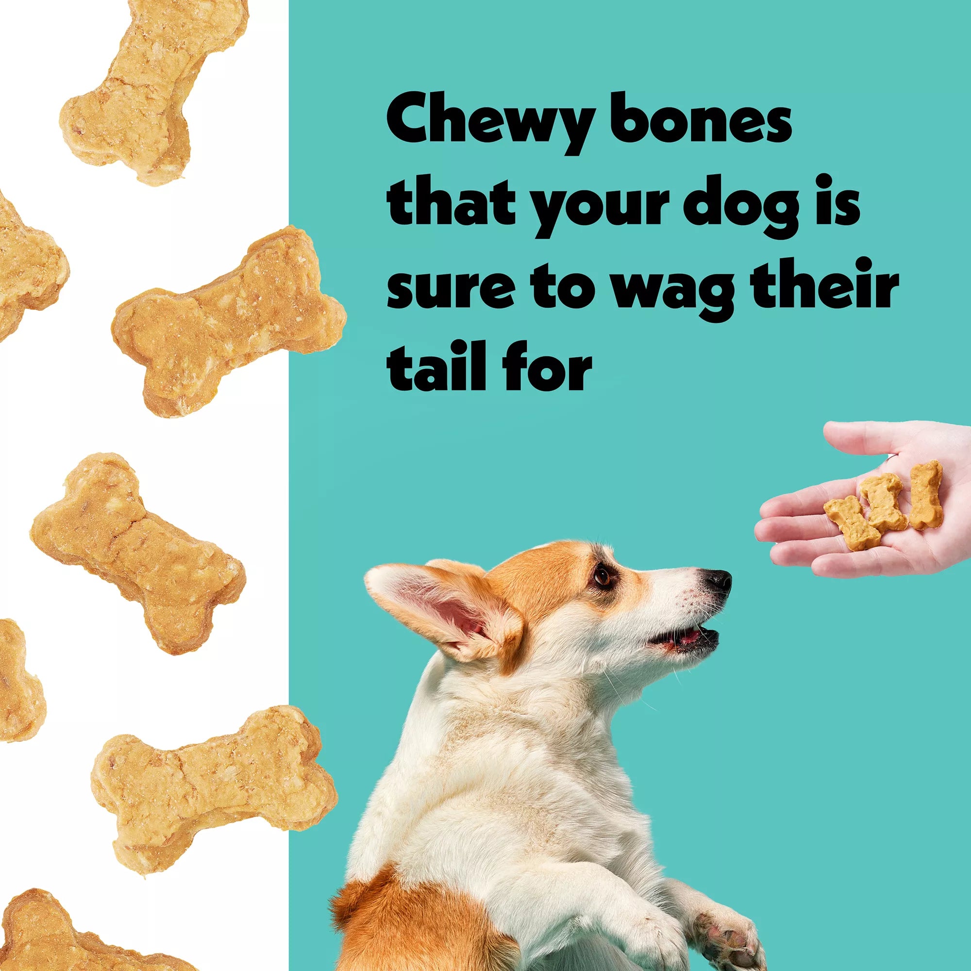 Wiggles & Wags Peanut Butter Chewy Bones Dog Treats 16 OZ
