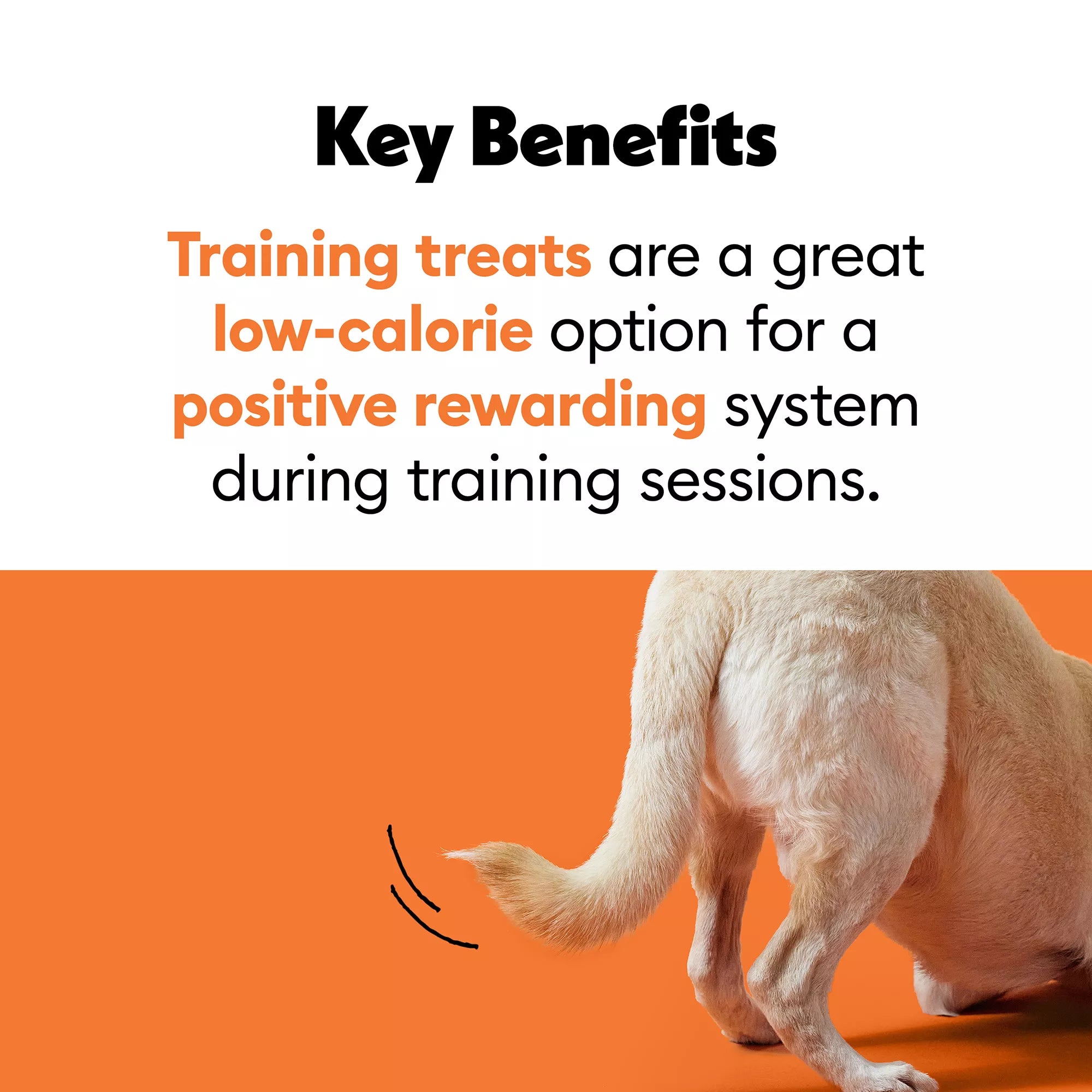 Wiggles & Wags Training Bites Bacon Dog Treats