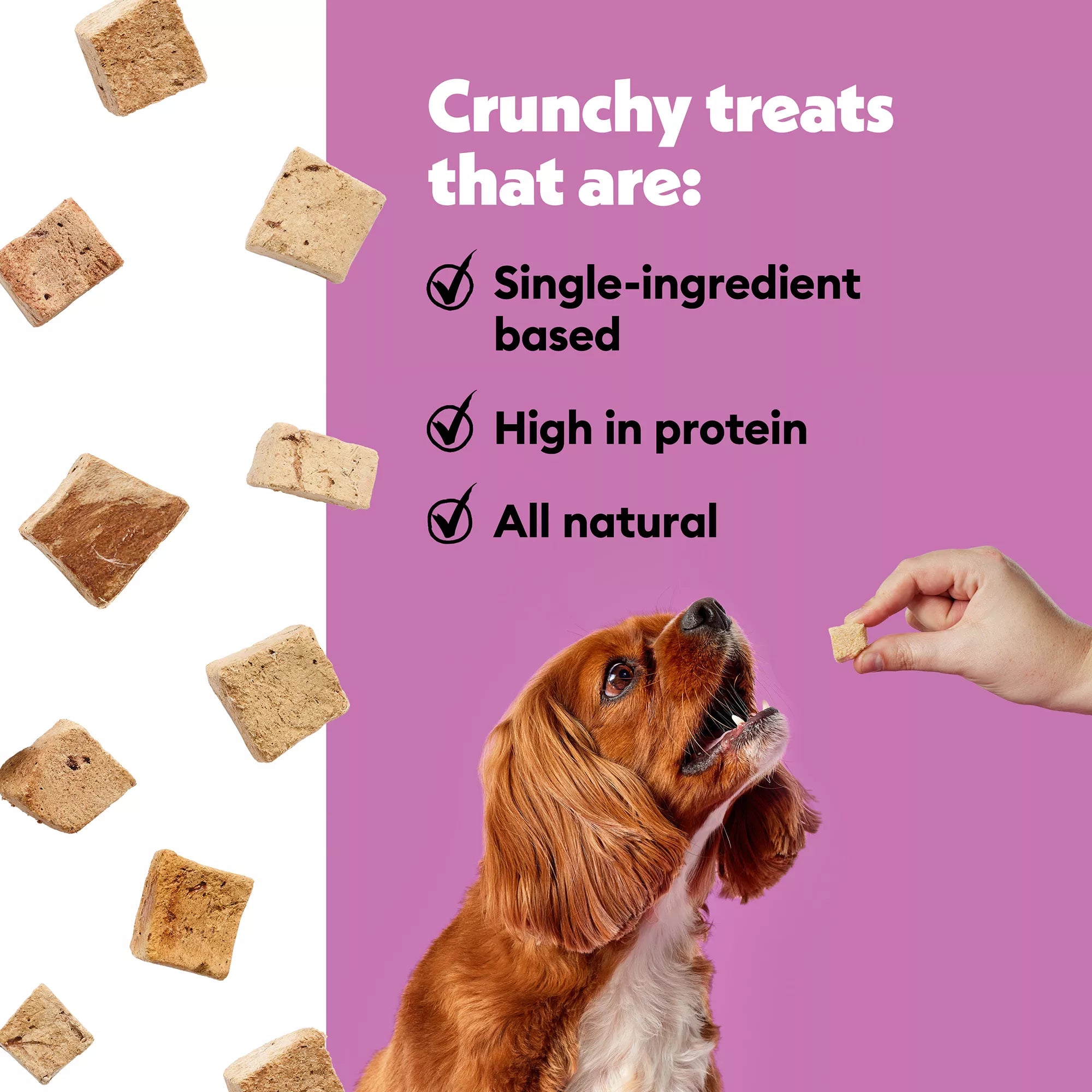 Wiggles & Wags Freeze Dried Beef Liver Dog Treats