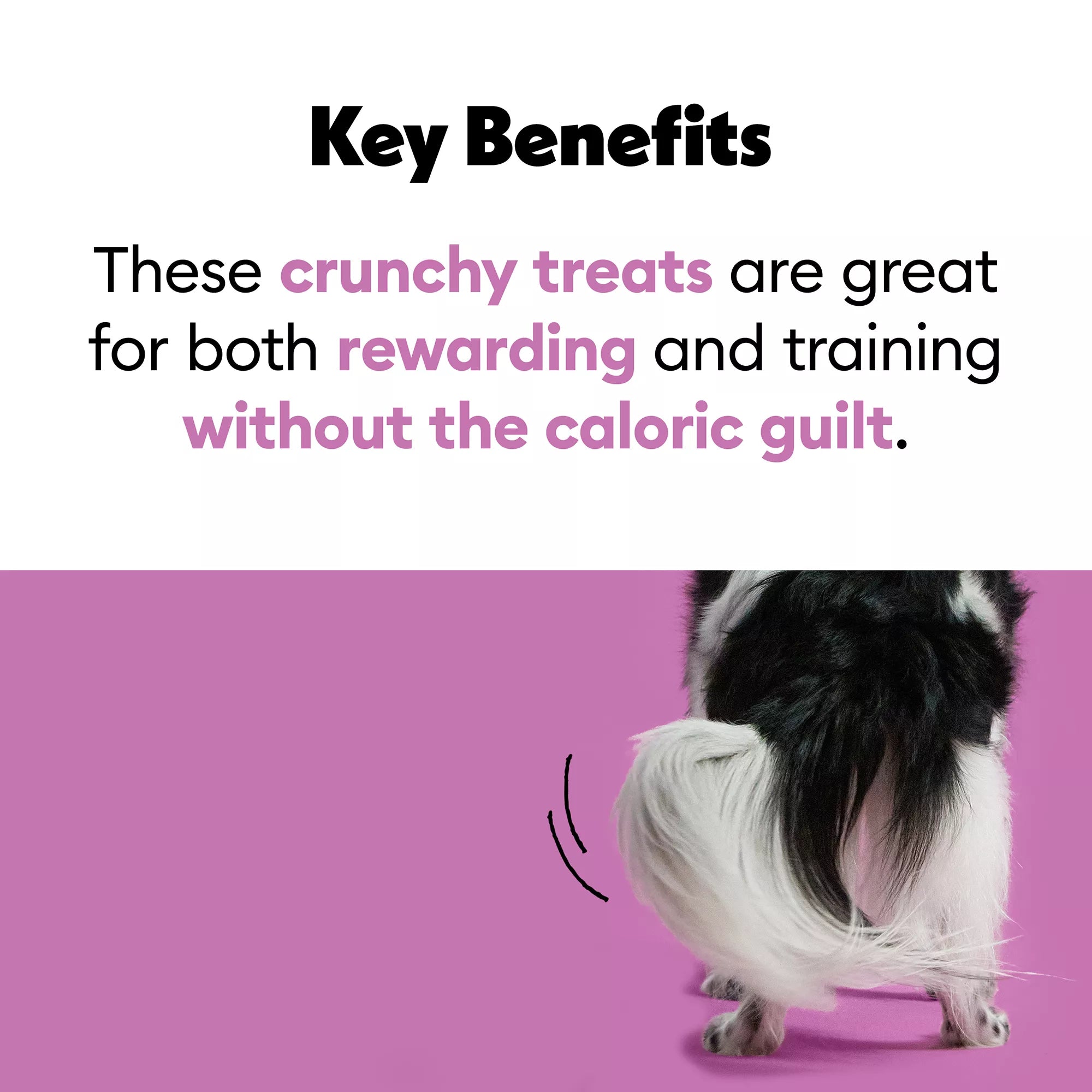 Wiggles & Wags Freeze Dried Beef Liver Dog Treats