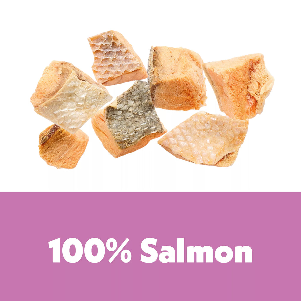 Wiggles and Wags Freeze Dried Salmon 4 OZ