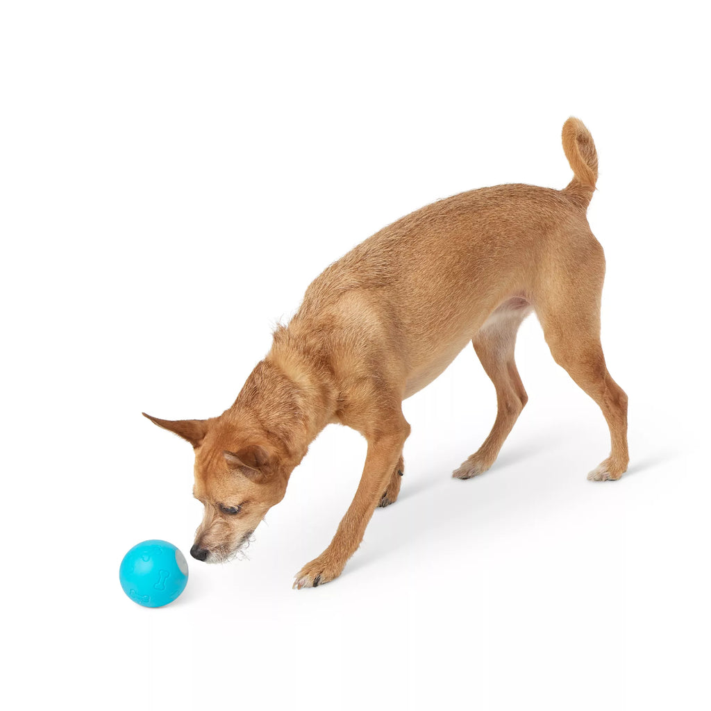 Joyhound Electronic Bouncing Ball Dog Toy