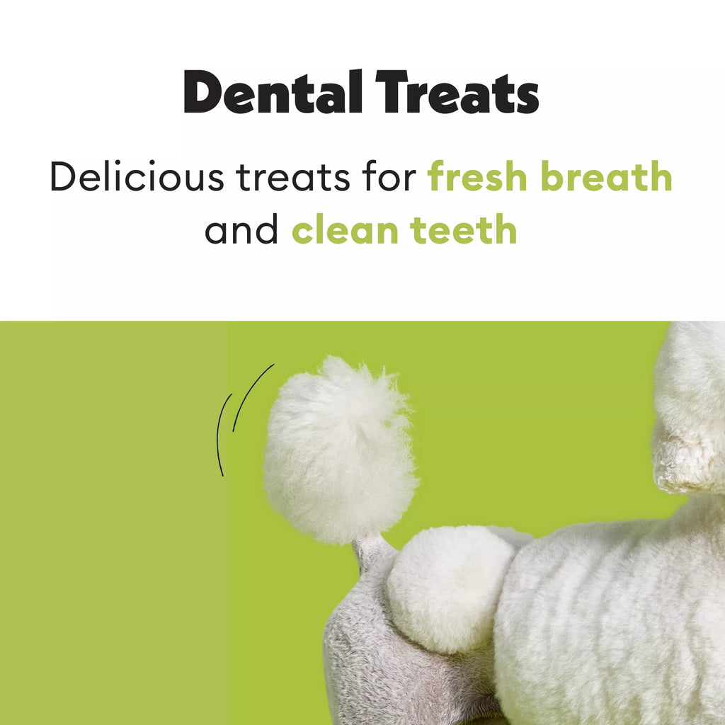 Wiggles & Wags Pumpkin Dental Chews Dog Treats 12 OZ