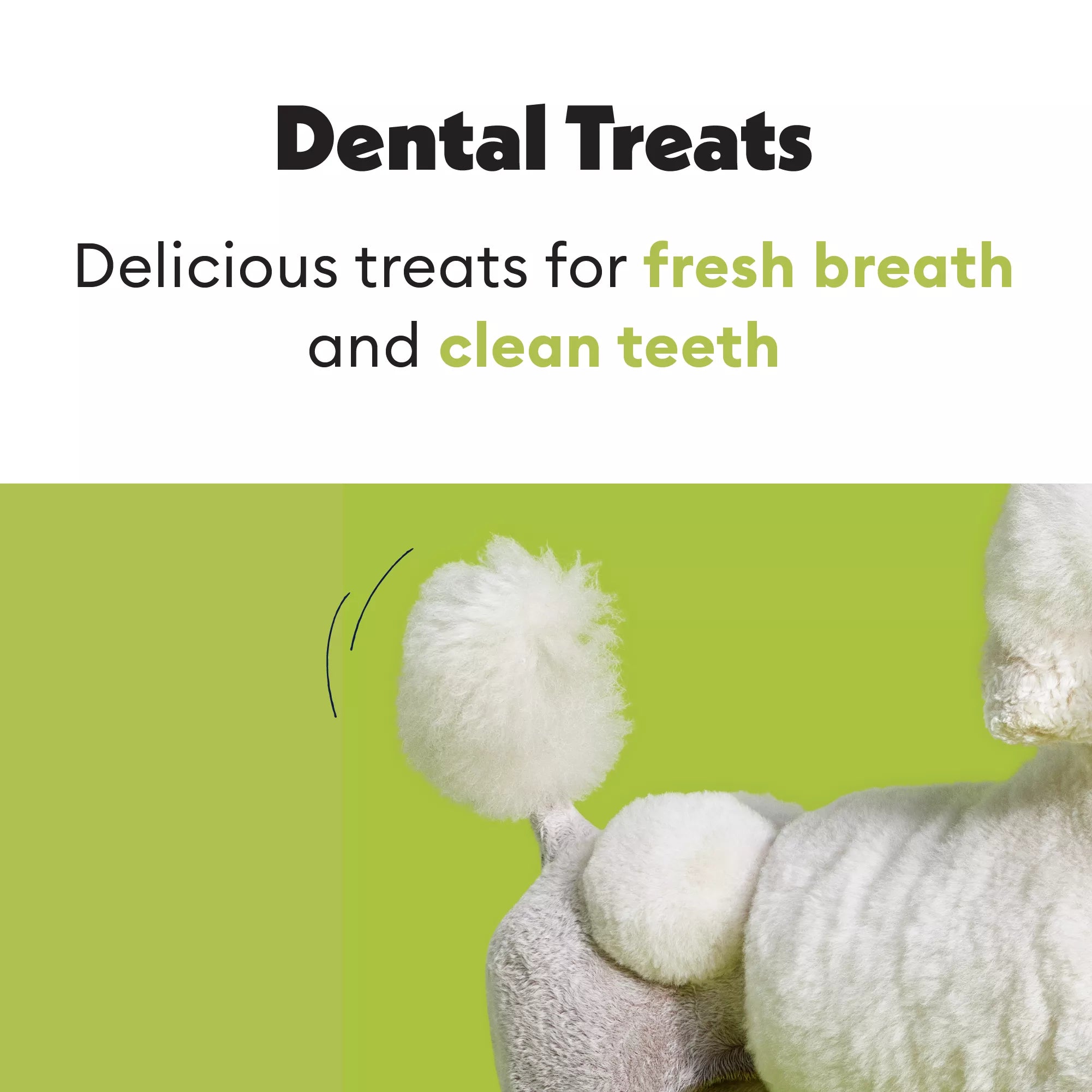 Wiggles & Wags Pumpkin Dental Chews Dog Treats 12 OZ