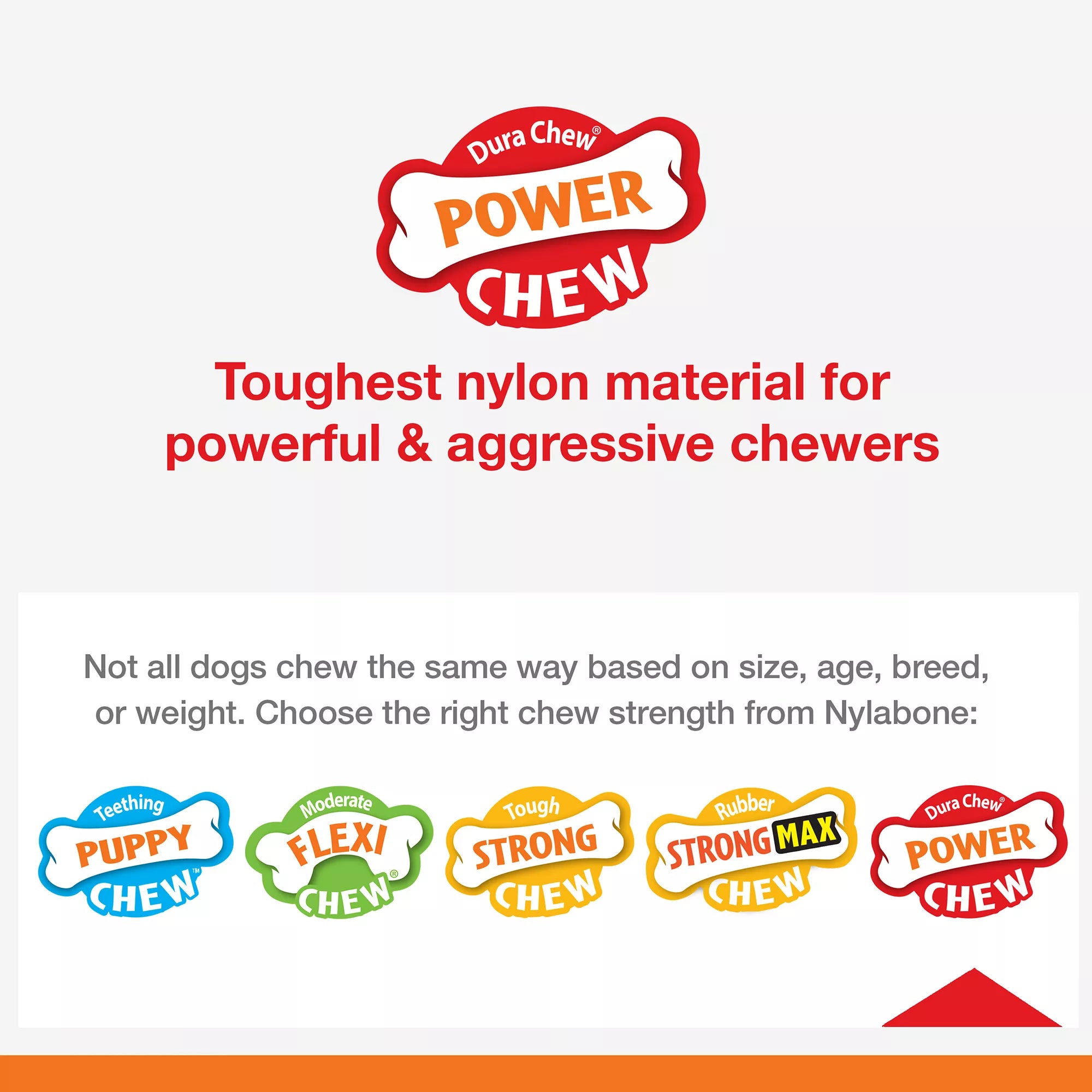 Nylabone Power Chew Donut Dog Toy, Bacon Glazed Flavor