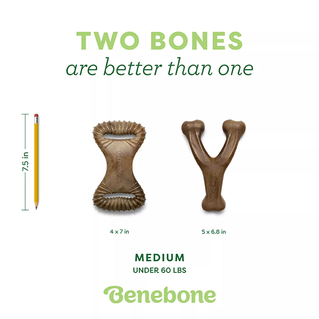 Benebone Wishbone Dental Chew 2 Pack