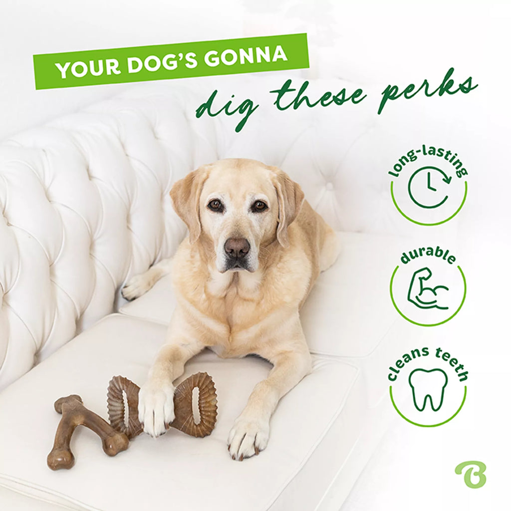 Benebone Wishbone Dental Chew 2 Pack
