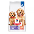 Hill's Science Diet Sensitive Skin & Stomach Food Puppy Dry Dog Food - Salmon & Brown Rice