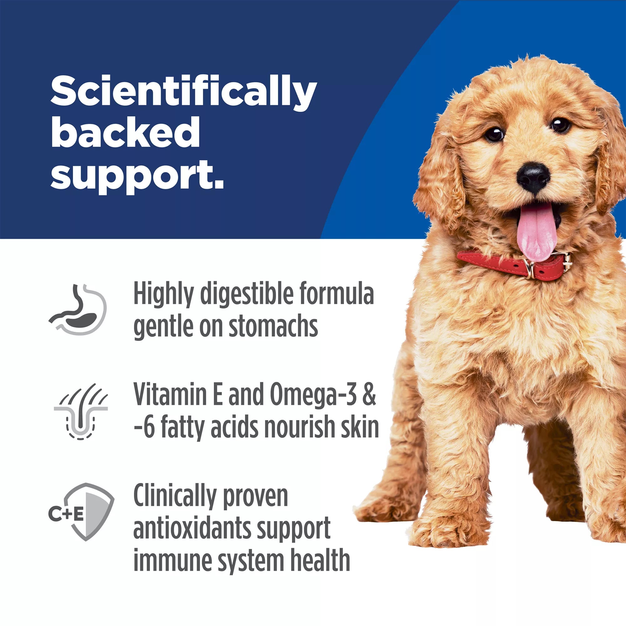 Hill's Science Diet Sensitive Skin & Stomach Food Puppy Dry Dog Food - Salmon & Brown Rice