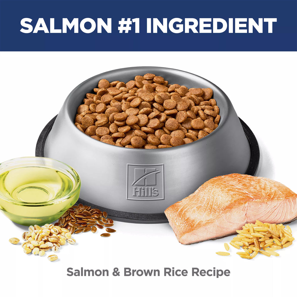 Hill's Science Diet Sensitive Skin & Stomach Food Puppy Dry Dog Food - Salmon & Brown Rice