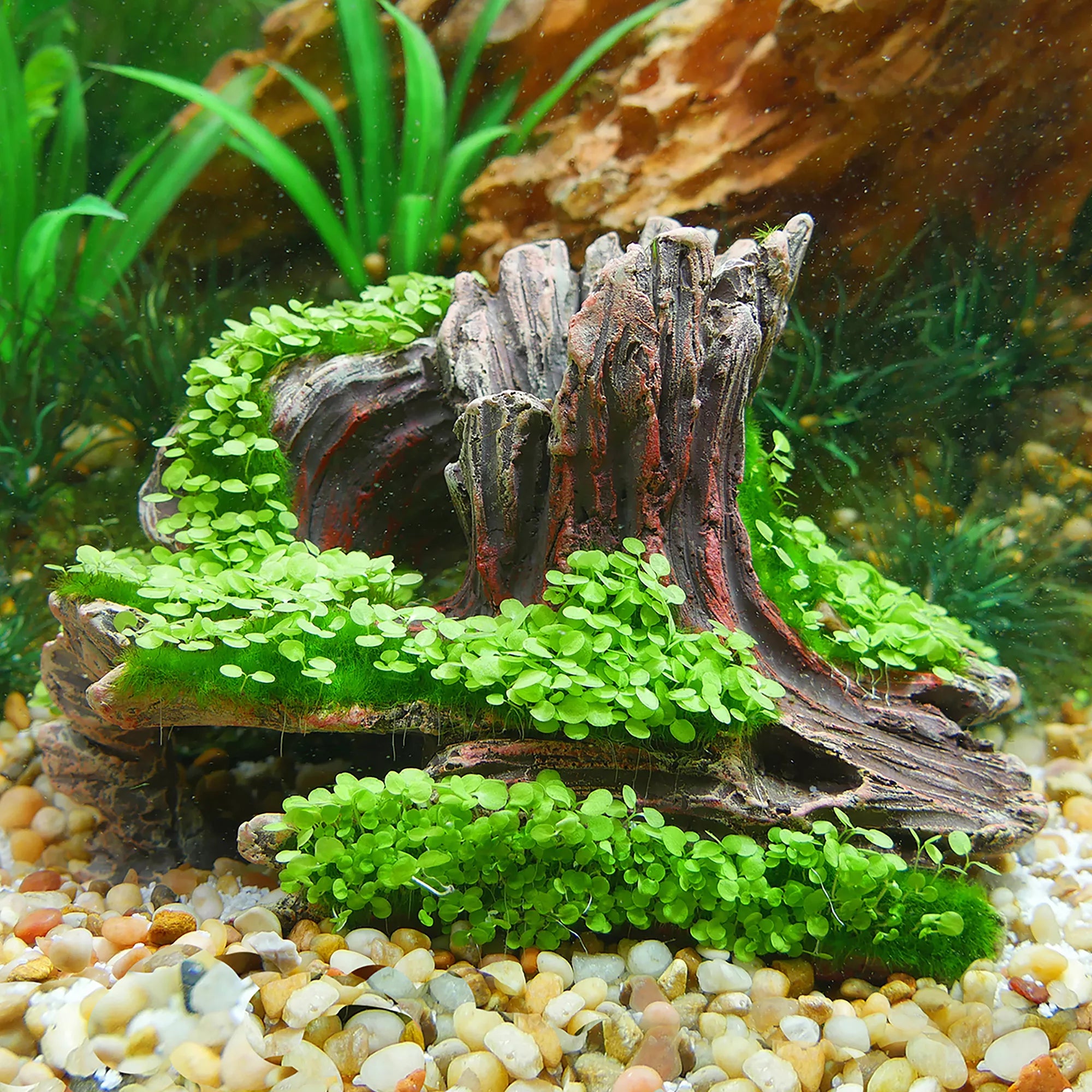 Aqua-Flora Living Log