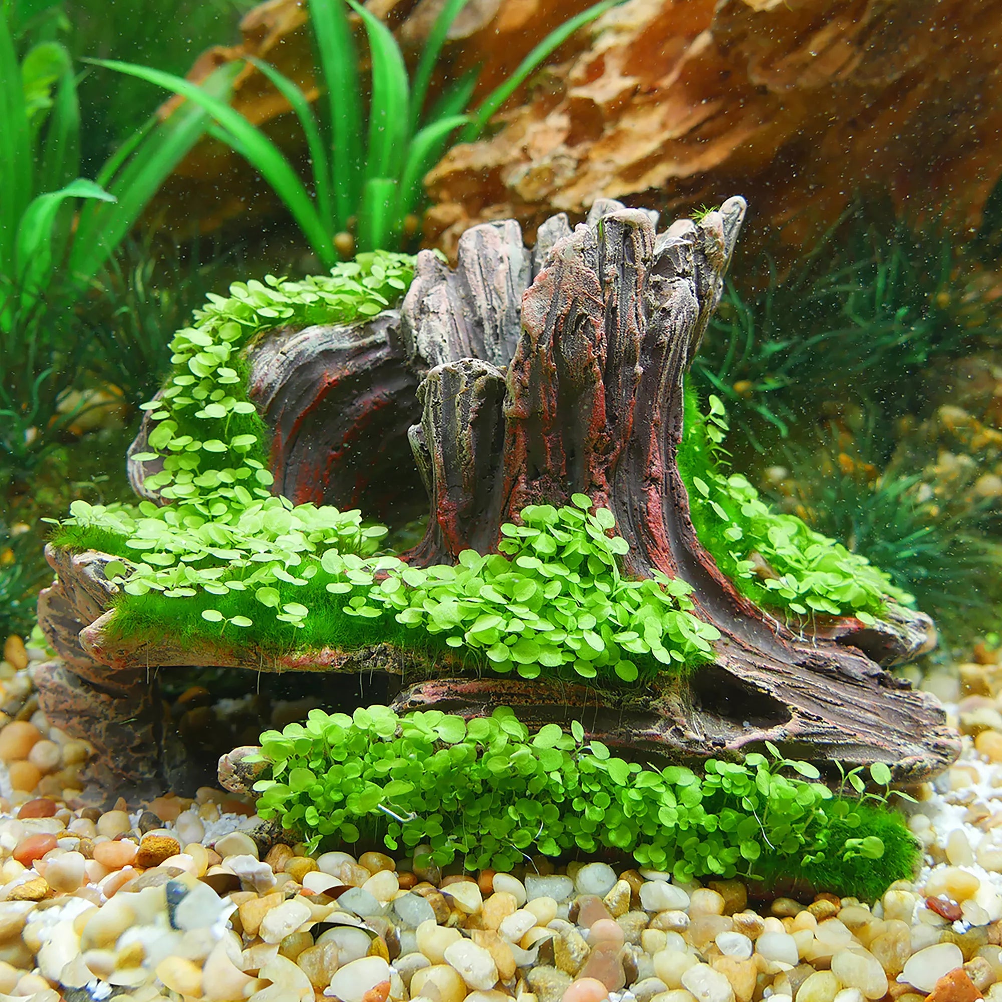 Aqua-Flora Living Log