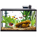 Top Fin Essentials Starter Kit Desk Aquarium