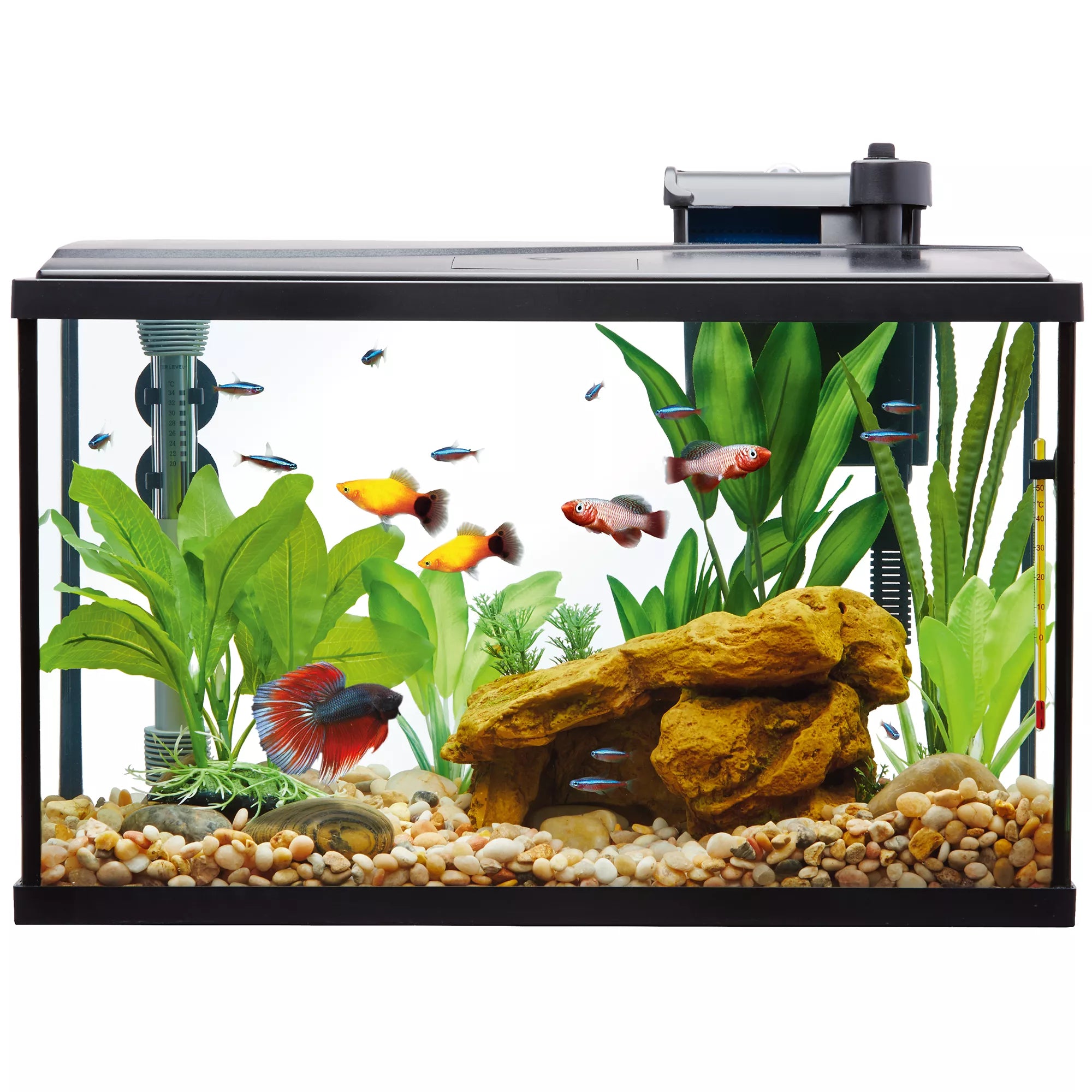 Top Fin Essentials Starter Kit Desk Aquarium