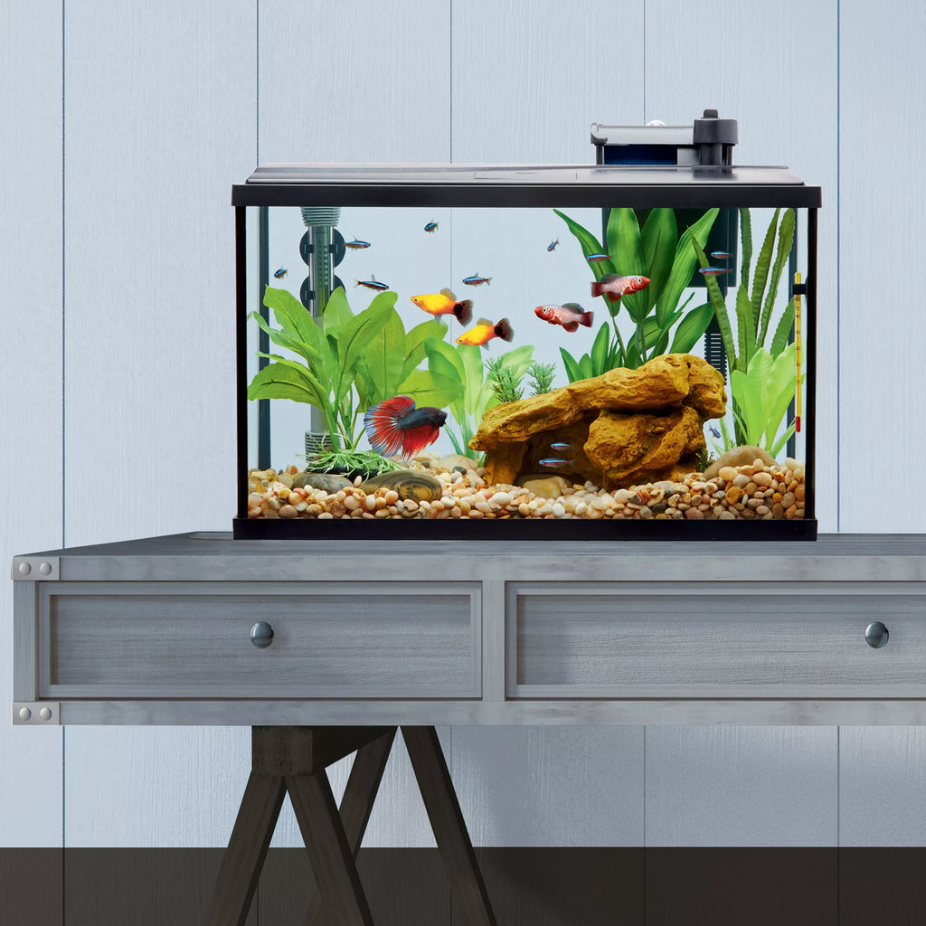 Top Fin Essentials Starter Kit Desk Aquarium