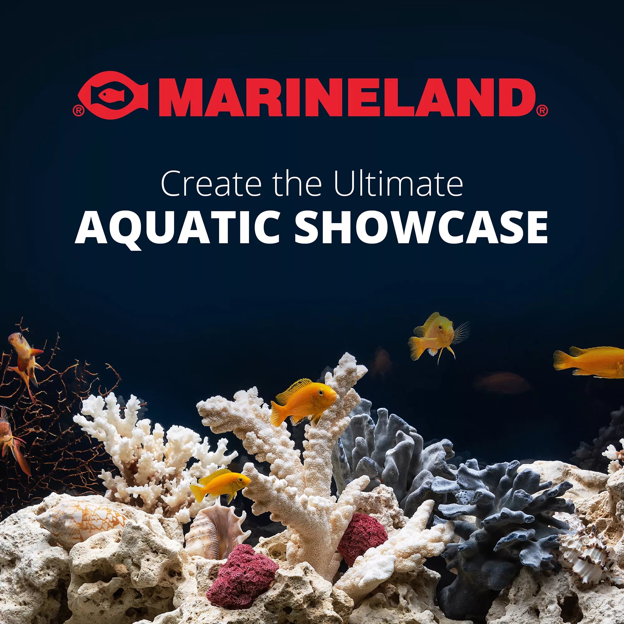 Marineland Open Glass Aquarium