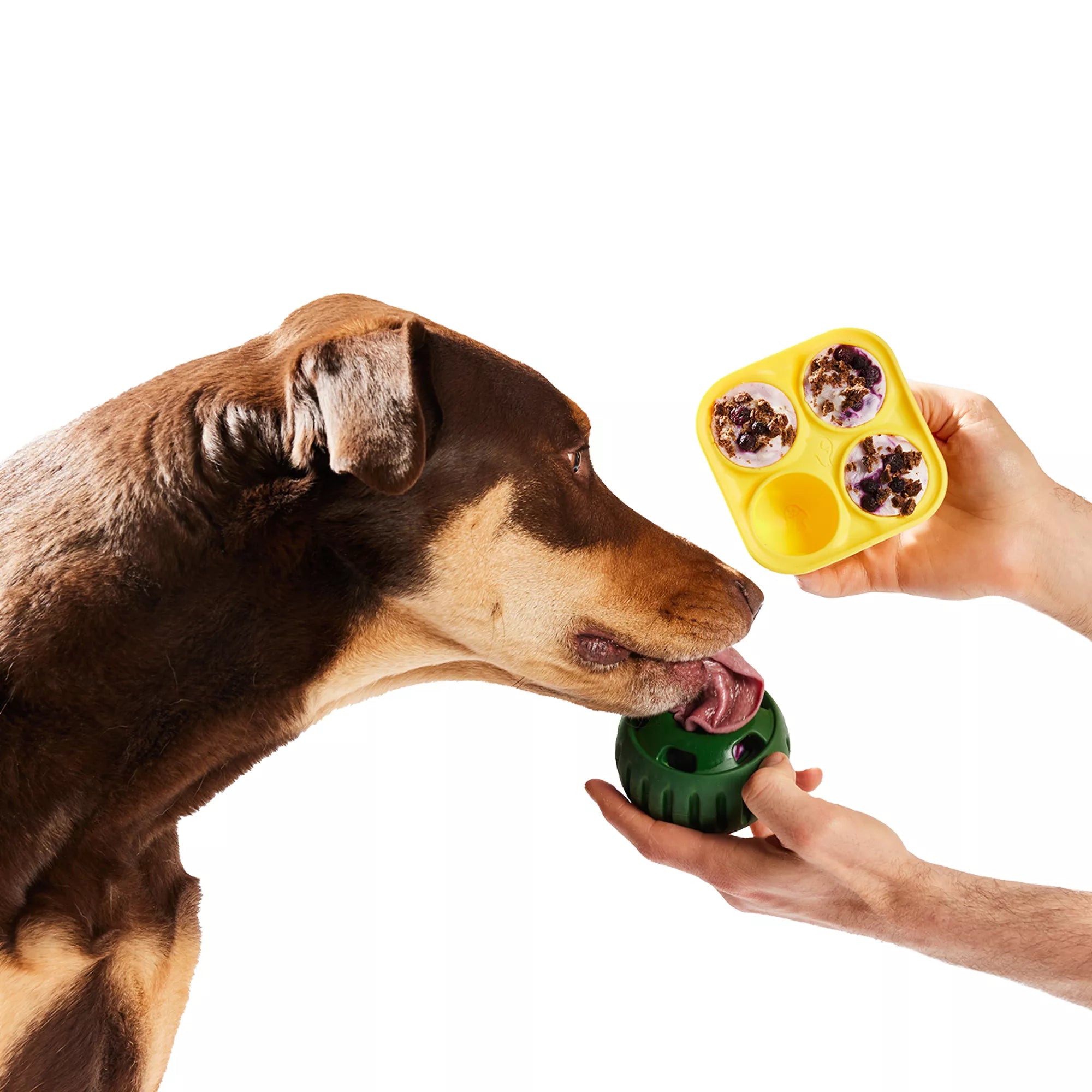 WOOF Pupsicle Treat Tray