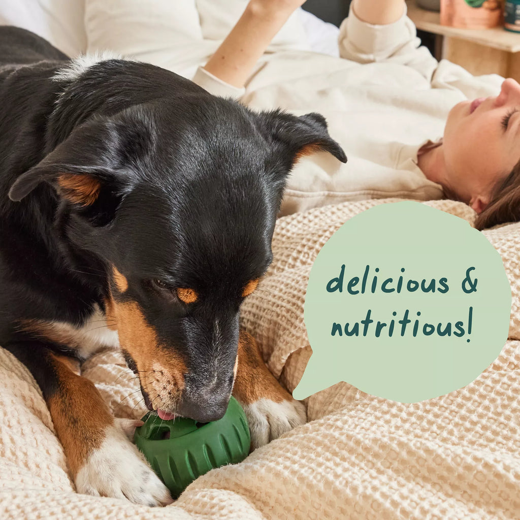 WOOF All-In-1 Health Pupsicle Pops Refill