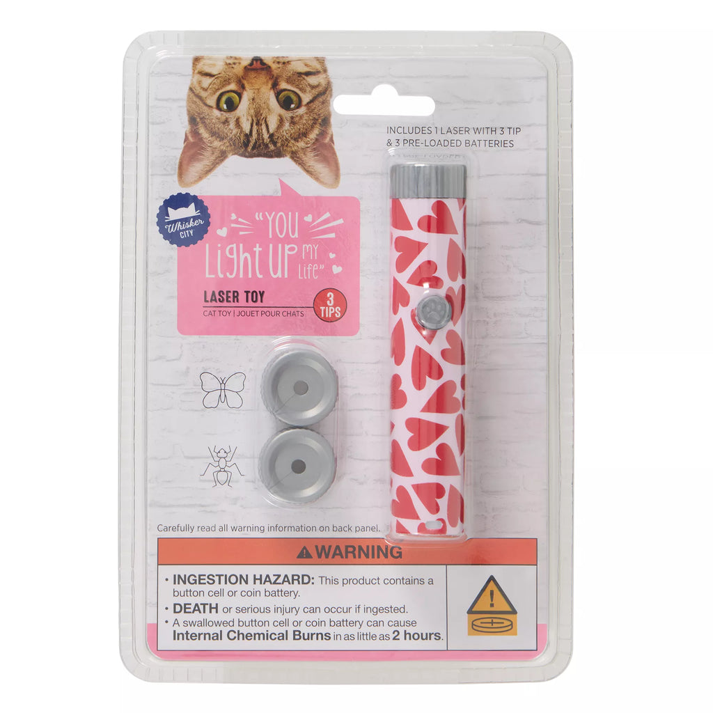 Whisker City Valentine's Day Laser Pointer