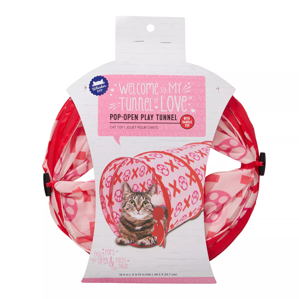 Whisker City Valentine's Day Tunnel Cat Toy