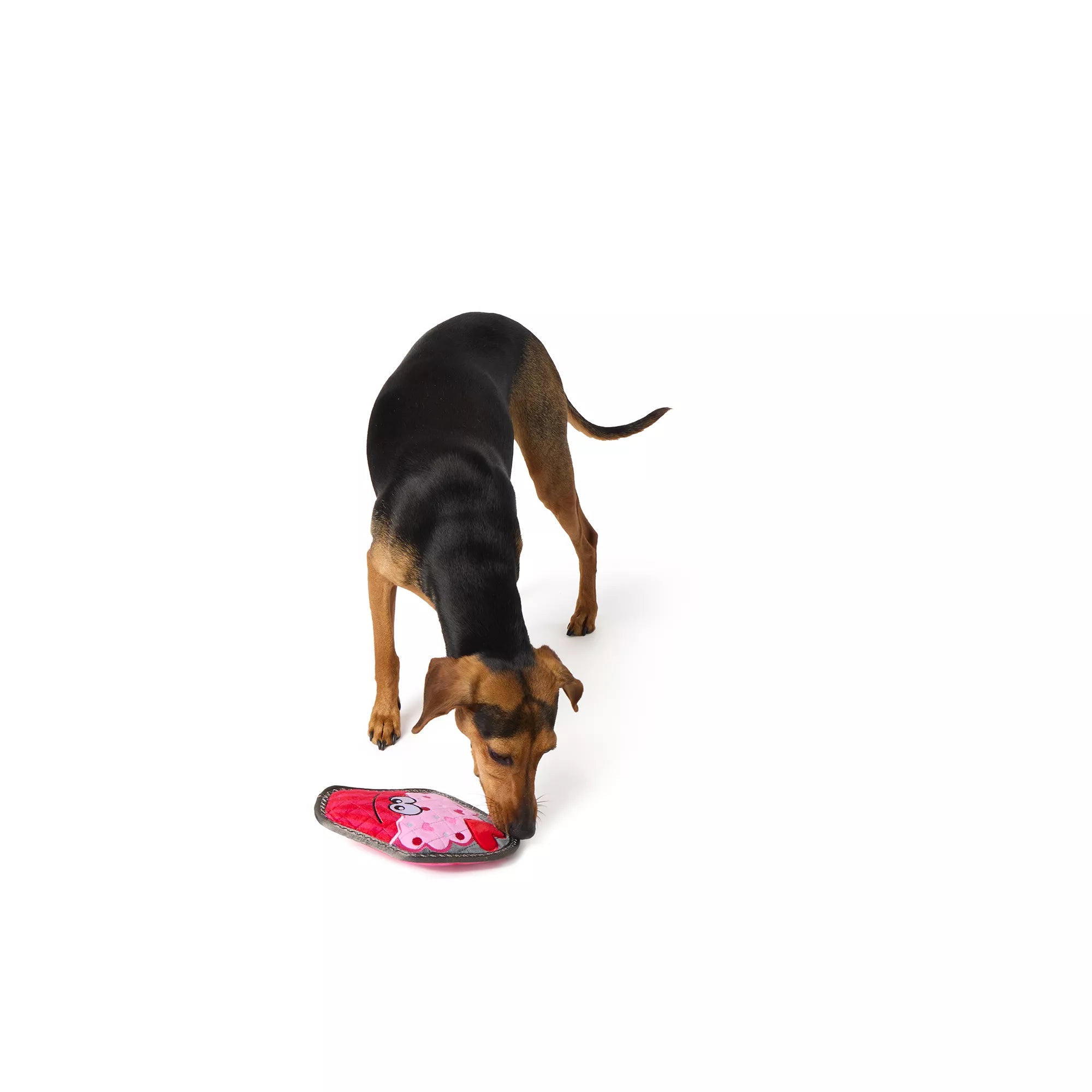 Joyhound Valentine's Day Rip Roarin' Tough Cupcake Dog Toy