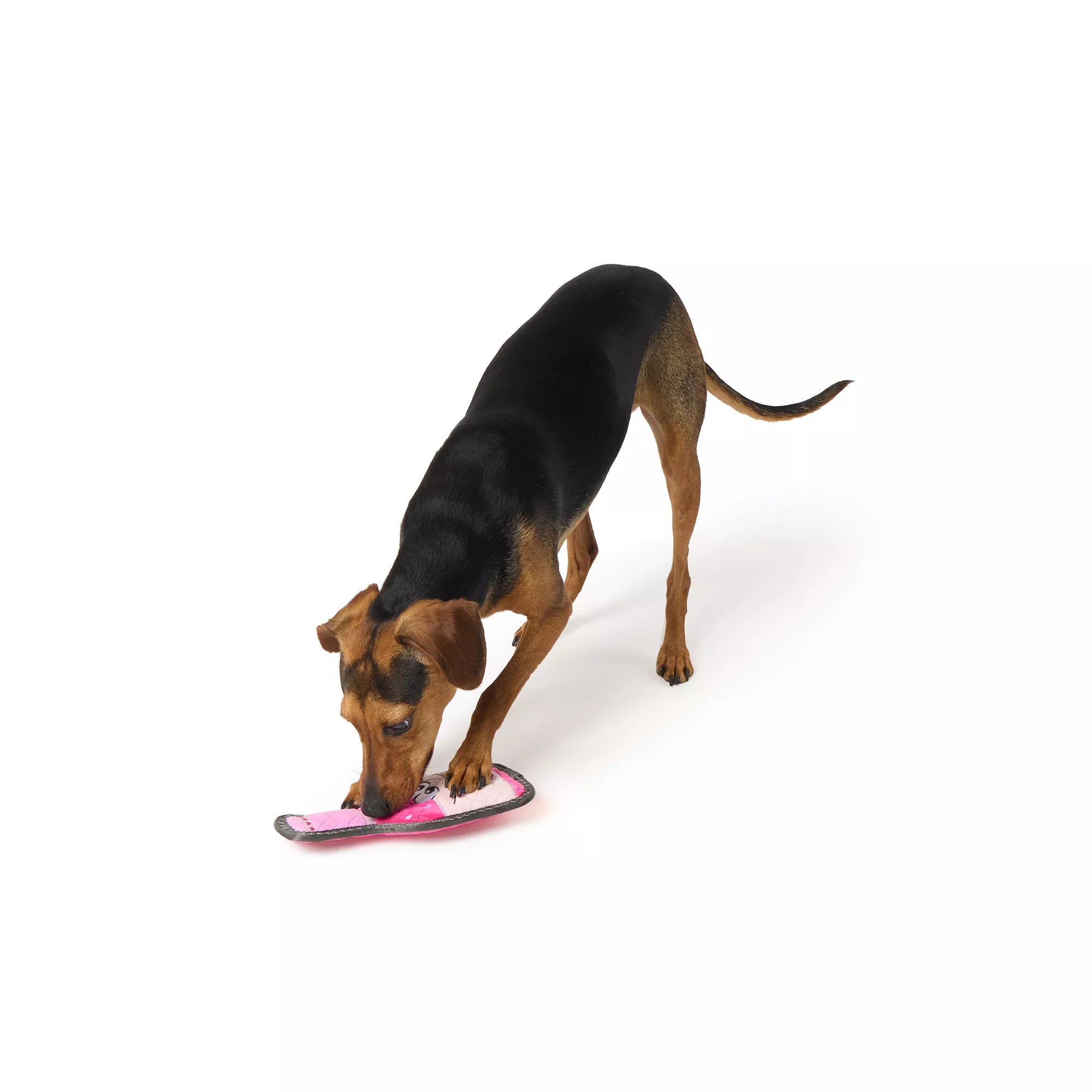 Joyhound Valentine's Day Rip Roarin' Tough Champagne Dog Toy