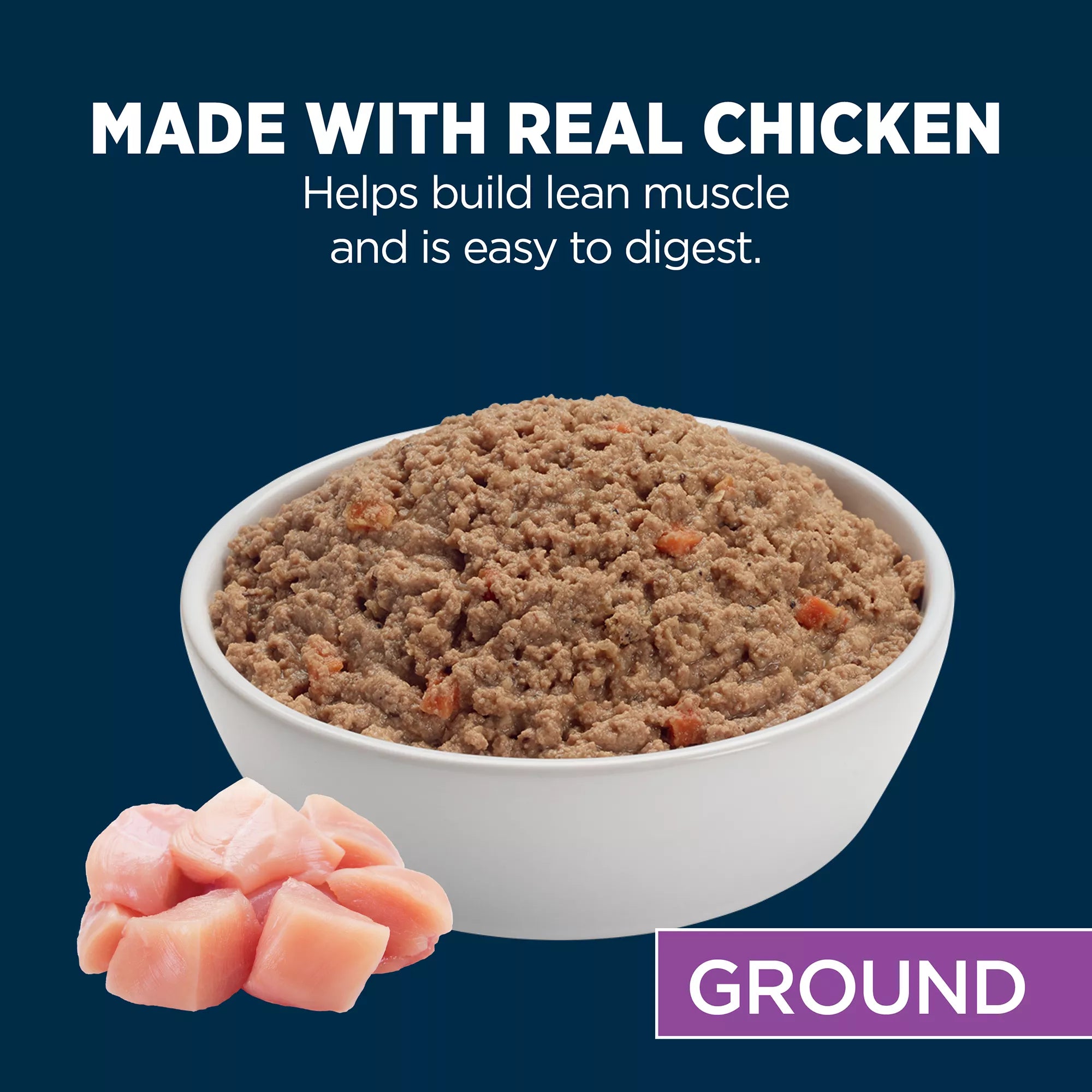 Authority Chicken & Vegetable Entree Senior 7+ Wet Dog Food - Grain-Free Pet Food, 5.5 oz