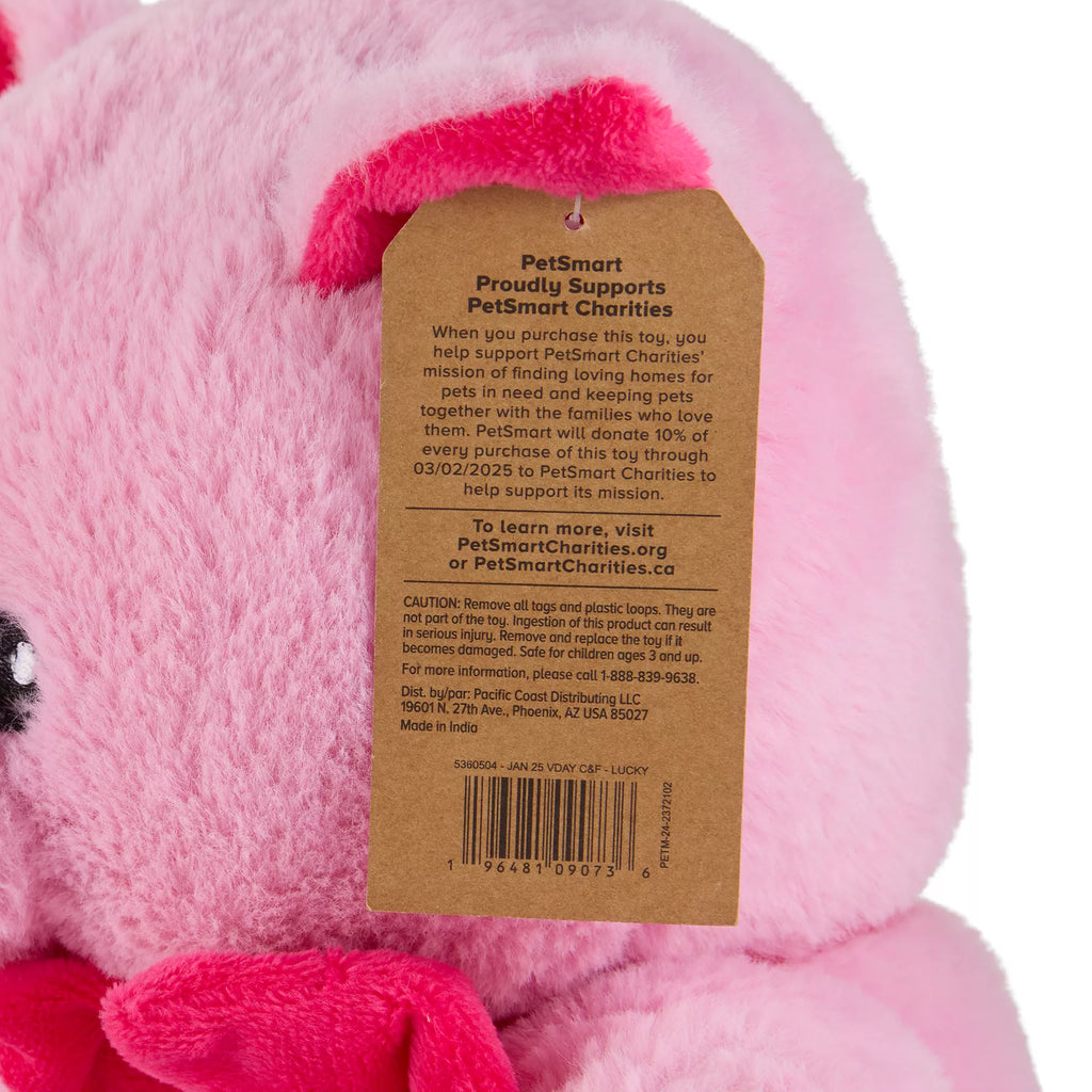 Lucky Valentine's Day Dog Toy Plush for Interactive Play