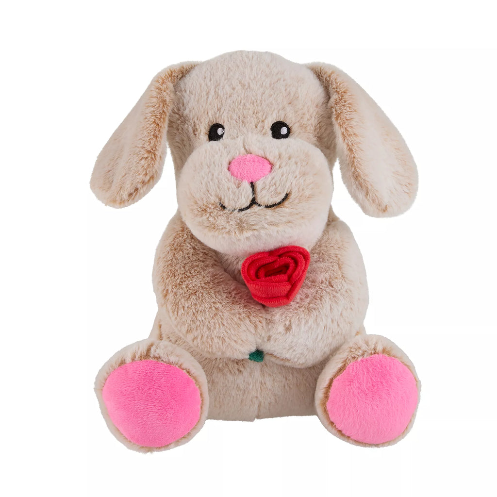 Chance Valentine's Day Dog Toy Plush for Interactive Play