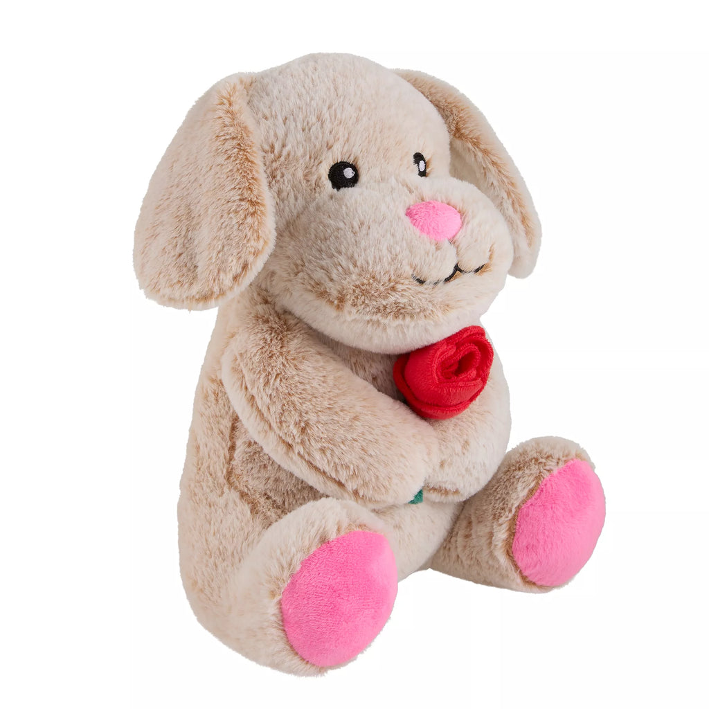 Chance Valentine's Day Dog Toy Plush for Interactive Play